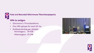 Fetal amp Neonatal Alloimmune Thrombocytopenia FNAIT  Michael J Paidas MD [upl. by Treva]