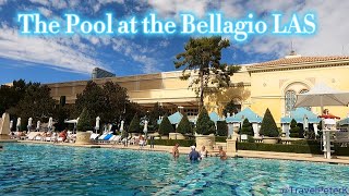 The pool at the Bellagio Las Vegas [upl. by Vedetta749]