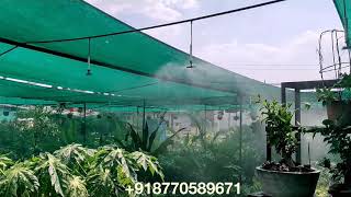 Fogger Irrigation  Jain Irrigation Systems [upl. by Erinn]