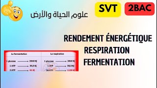 2BAC SVT ET PC  Le rendement énergétique de la respiration et la fermentation [upl. by Gilder]