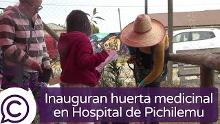 Nueva huerta medicinal en el Hospital de Pichilemu [upl. by Amasa]