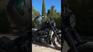 HarleyDavidson SOFTAIL STANDARD Custom [upl. by Eanaj]