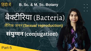 Bacteria in Hindi बैक्टीरिया हिंदी में  लैंगिक जनन  संयुग्मन conjugation  Botany [upl. by Derian648]