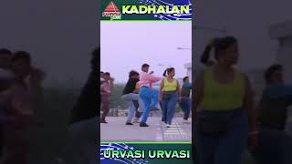 Urvasi Urvasi Video Song  Kadhalan Movie Songs  Prabhu Deva  Vadivelu  ARR  ytshorts [upl. by Nospmis]