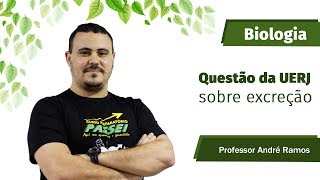 Questão da UERJ sobre excreção  Prof André Ramos  Curso Preparatório Passei [upl. by Skricki]