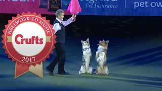 Mary Rays Heelwork To Music Routine at Crufts 2017 [upl. by Nageet214]