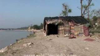 Life of an aghori in Haridwar [upl. by Consolata974]