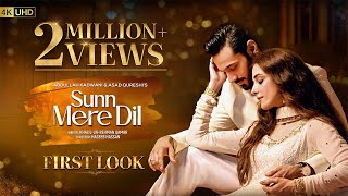 Sunn Mere Dil  First Look  Ft Wahaj Ali Maya Ali  Har Pal Geo [upl. by Karlotte492]