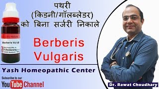 Uses of Berberis Vulgaris in Kidney Stone  Best medicine for kidney stone [upl. by Neyu]