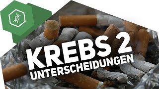 Gutartige und bösartige Tumore – Unterschied – Krebs 2 [upl. by Berriman]