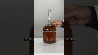 FRENCH TOAST MEAD UPDATE [upl. by Amrita227]