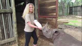 Learning How To Feed Ollie The Baby Rhino [upl. by Homans]