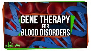 Changing DNA in a Cell With No DNA Gene Therapy for Blood Disorders [upl. by Coco]