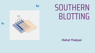 SOUTHERN BLOTTING  BSc ZOOLOGY  BIOTECHNOLOGY [upl. by Atsyrhc]