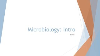 Microbiology Basics Bacteria Shapes and Arrangements [upl. by Grimbald]