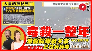 【一字記之曰：毒】日本再出現大量魚類、鳥類「神祕死亡」，全球「急性病毒」爆發！ 2024將爆發「毒災」，兒童、老人成高危一族？ 《一字記之曰︱第159集》侯天同x陳沁妶 [upl. by Erek]