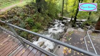 Todtnau Waterfall in Black Forest region of Germany [upl. by Flem108]