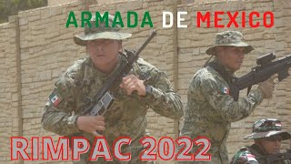 Marinos mexicanos en operaciones en terreno urbano Rimpac 2022 [upl. by Aiym]