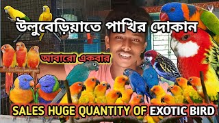 SALE SUN CONURERAINBOW LORIKEETRED ROSELLA COCKTAILBUDGIESFINCH HUGE QUANTITY cheapestprice [upl. by Eimmij]