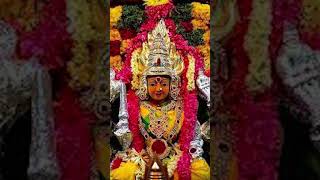 பாப்பாத்தி அம்மன்AMMAN SONGSAMMAN STORYAMMAN STATUSAMMAN WHATSAPP STATUSAMMAN PADALAMMAN [upl. by Ylak]