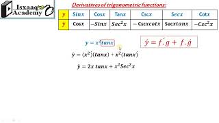 08 Derivatives Of Trig Functions  Examples Somali [upl. by Nytsyrk743]