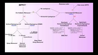 BPPV Treatment  Deep Head Hang Maneuver Why When amp How [upl. by O'Donoghue3]