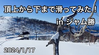 【スキージャム勝山】最高の雪！！5000ｍのトップトゥボトム [upl. by Ransom]