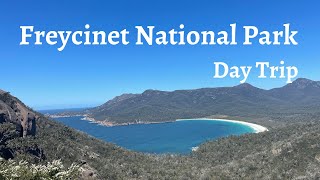 Freycinet National Park  Wineglass Bay  East Coast Tasmania Tasmania  Australia  Road Trip  4K [upl. by Adnoval736]