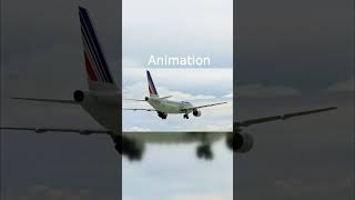 Animation vs Real Life  Air France Flight 296 planecrash [upl. by Carling]