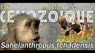 Sahelanthropus tchadensis dit Toumaï  Paléontologie  Simplex Paléo [upl. by Assirol898]