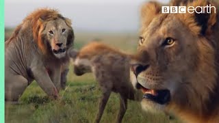 ONE HOUR of Amazing Animal Moments  BBC Earth [upl. by Aerdua]