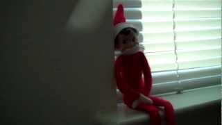 Real Elf on the Shelf Proof [upl. by Asyl]