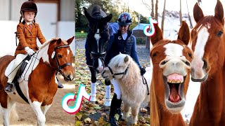 The Cutest HORSES  Equestrian TikTok Compilation 51 [upl. by Dilisio351]