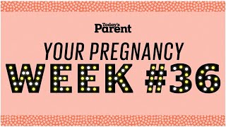 36 Weeks Pregnant  Natural Pregnancy WeekByWeek [upl. by Assirralc]