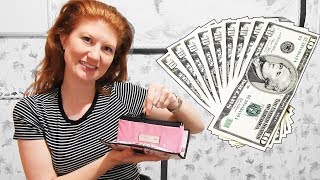 The Best Cash Envelope System Wallet  THRIFTY ZIPPER  Alternative to Dave Ramsey Envelope System [upl. by Berlyn]