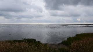 Dam en Waddenzee eb [upl. by Fonda284]