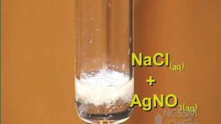 Double Displacement Reaction of AgNO3 and NaCl [upl. by Corie]