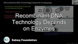 Recombinant DNA Technology Depends on Enzymes Biology Lecture  Sabaqpk [upl. by Nnairb]