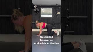 Quadruped Transversus Abdominis Activation [upl. by Triplett]