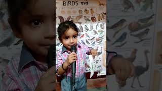 m tota m tota Hindi poem  Dreams Academy learning fun [upl. by Jeaz]