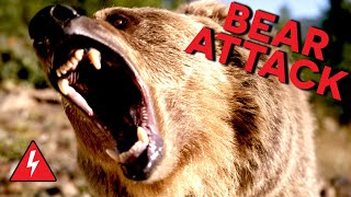 Rampaging Bear Attacks Family Do They Survive [upl. by Yllime]