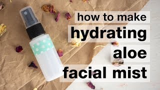 How to Make DIY Hydrating Aloe Facial Mist [upl. by Gaul]