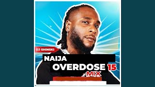 Naija Overdose Mix 15 [upl. by Yellhsa709]