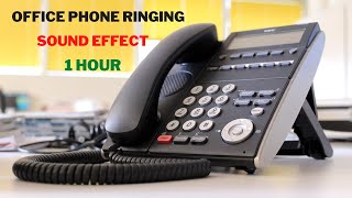 Office Phone Ringtone Sound Effect🎧 Office Phone Ringing Sound Effect 1 Hour [upl. by Lucienne]