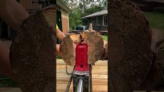 Splitting Wood With Harbor Freight 300 Log Splitter [upl. by Esinal]