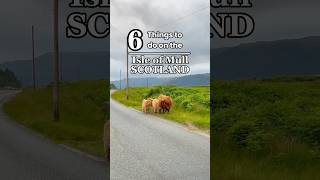 Scotland’s Best Island Isle of Mull is incredible scotlandtravel scotlandvlog scotlandadventures [upl. by Egidius]