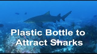 Plastic Bottle to Attract Sharks [upl. by Lucien]