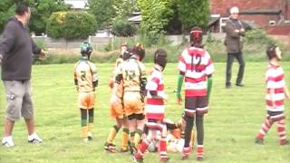 Woolston Rovers Golds Vs Folly Lane Lions [upl. by Notgnihsaw]