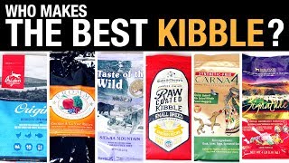 The Pet Food Kibble Review [upl. by Alvord]