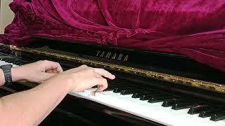 Schumann Kinderszenen Op15 No1 [upl. by Kenta764]